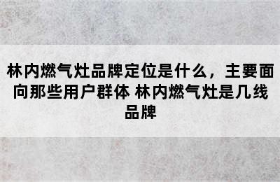 林内燃气灶品牌定位是什么，主要面向那些用户群体 林内燃气灶是几线品牌